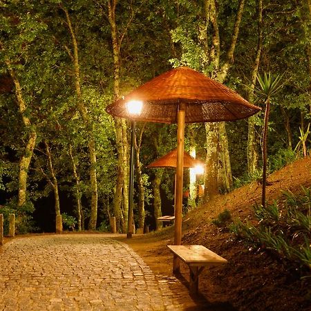 Quinta Da Costa Villa Vila da Lixa ภายนอก รูปภาพ